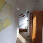 Daire Backbord